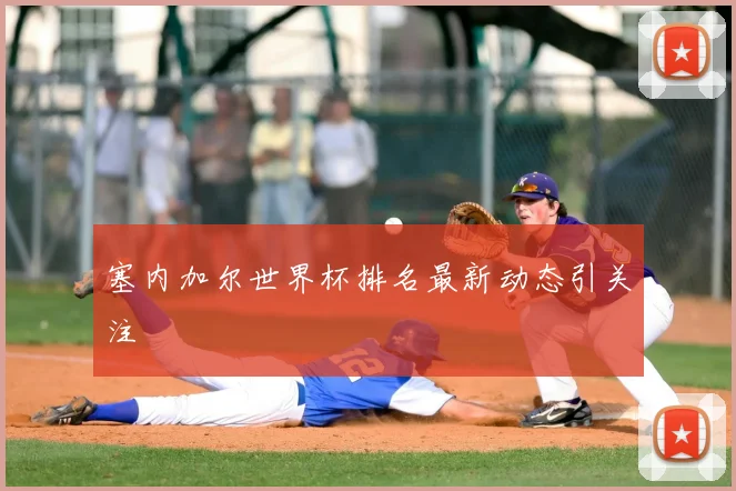 塞内加尔世界杯排名最新动态引关注